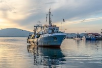 Плановые проверки рыболовецких судов могут отменить