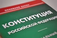 Клишас и Крашенинников выступили против поправки в Конституцию о лишении гражданства 