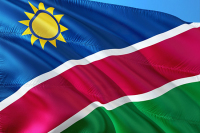 Россия и Намибия в перспективе могут отменить визы