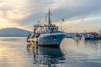 Госдума приняла в третьем чтении законопроект о проверках рыболовных судов