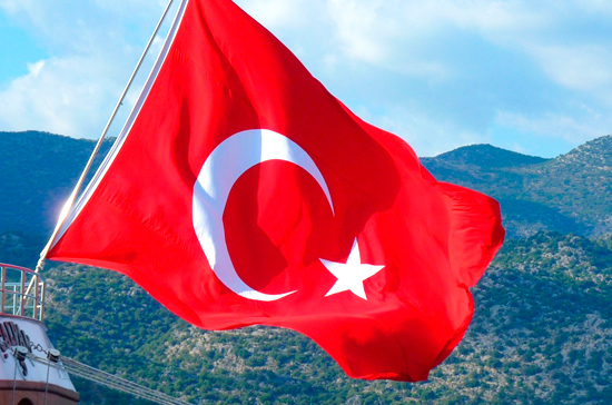 Турция не намерена вступать в столкновение с Россией в Идлибе