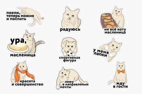 Одноклассники сделали к Масленице стикеры с котом, который выпрашивает блины
