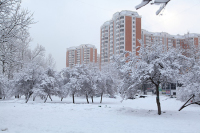 В Москву придут похолодание и снег