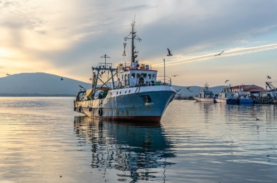 Плановые проверки рыболовецких судов отменят