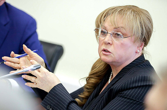 Памфилова предложила наказывать за нарушения в ходе проведения голосования по Конституции