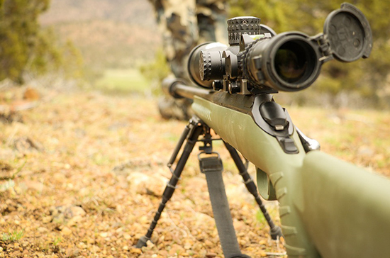 В Госдуму внесли законопроект о перемещении охотничьего оружия через границу