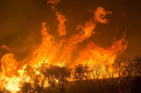 Глава Рослесхоза назвал регионы с наибольшей пожароопасностью