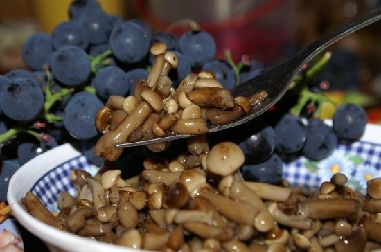 Врач рассказала, как не навредить здоровью во время Великого поста