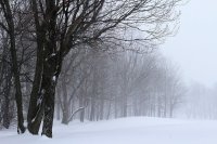 Синоптики предупредили жителей Приморья и сильном снегопаде