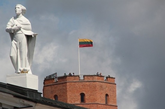 В Литве появилась новая партия «Национальное объединение»