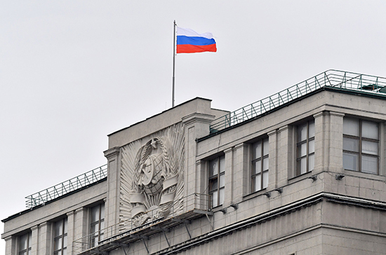 Госдума одобрила порядок проведения общероссийского голосования