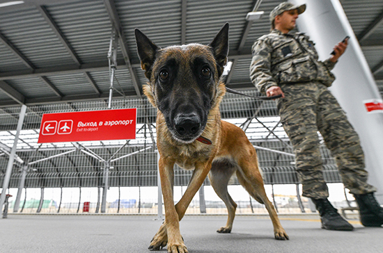 Сотрудники частных охранных предприятий смогут охранять аэропорты