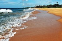 Шри-Ланка прекратит выдачу виз россиянам по прилету