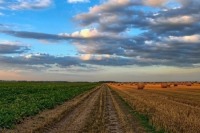 В Госдуму внесен проект об обязательном информировании населения о работах с применением пестицидов