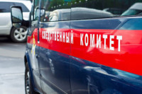 СК возбудил уголовное дело после нападения на посольство России в Киеве 