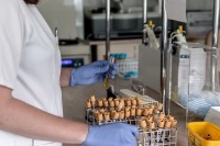 Австрия ускорит проведение тестов на коронавирус
