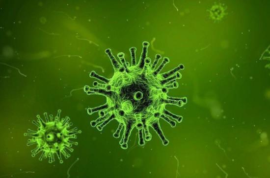 Может ли новый коронавирус передаваться человеку через воду. Мнение ученых-экологов