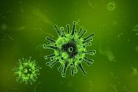 Может ли новый коронавирус передаваться человеку через воду. Мнение ученых-экологов