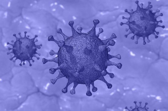 Вирусолог опровергла миф об отсутствии иммунитета к коронавирусу