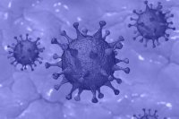 Вирусолог опровергла миф об отсутствии иммунитета к коронавирусу