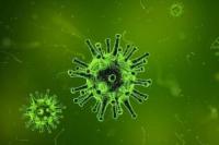 Учёные назвали подавляющую коронавирус влажность воздуха