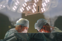 Первую в мире трансплантацию почки провёл советский хирург Вороной