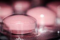 Совфед одобрил закон об онлайн-продаже лекарств