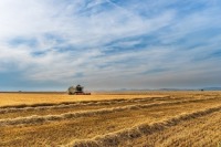 «ФосАгро-регион» наращивает поставки удобрений российскому АПК 