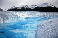 Учёные обнаружили в Арктике бактерии, разлагающие нефть
