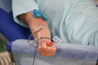 Активисты «Молодой Гвардии» сдали более 100 литров крови в День донора