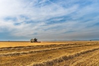 Аграрии Татарстана получат на весенне-полевые работы 6 млрд рублей