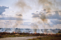 В Иркутской области за сутки ликвидировали 20 лесных пожаров