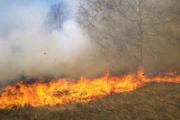 В Приангарье чиновников заподозрили в поджоге леса