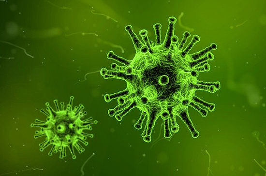Ученые выяснили, при какой температуре коронавирус теряет активность