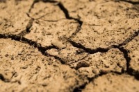 Нескольким регионам России угрожает засуха, сообщили в Гидрометцентре
