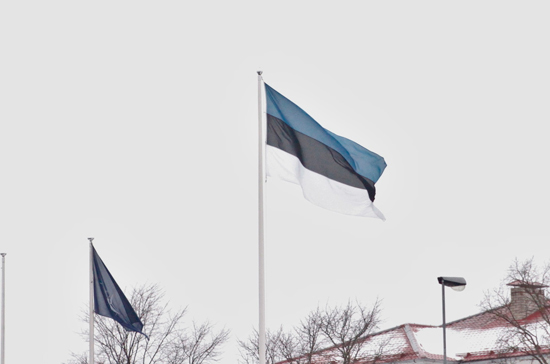 Эстонский парламентарий недовольна возложением венка к «Бронзовому солдату»