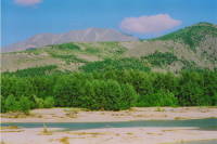 В Магаданской области строят дамбу на реке Ола