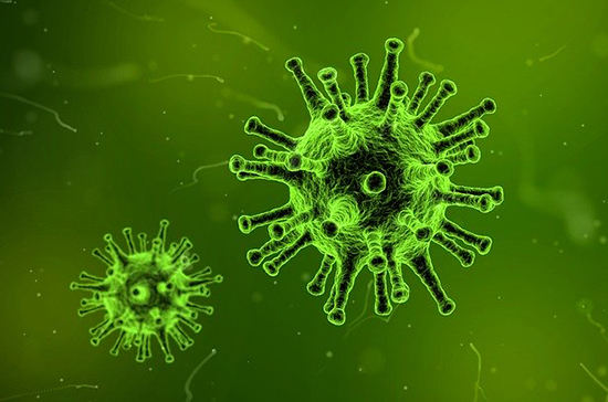 Британские учёные: мутация коронавируса не увеличивает его опасность для человека