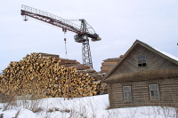 Кабмин отказался от временных таможенных деклараций на вывоз древесины из ЕАЭС