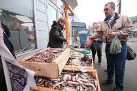 Промысел корюшки в Красноярском крае планируют закрыть до конца года