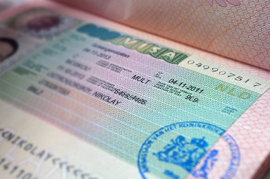 С 2021 года в России могут ввести единые электронные визы для иностранцев