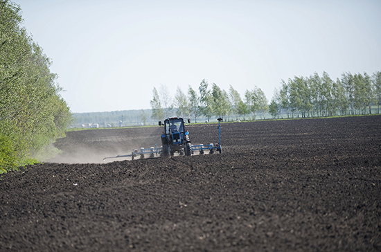 Порядок аренды сельхозземель в России могут откорректировать