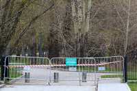 Запрет на посещение парков и лесов в Петербурге продлили по 5 июля