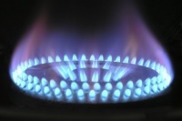 Комитет Госдумы по энергетике направит запросы в ФАС по завышенным ценам на газ