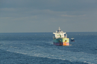 Правительство сможет регулировать проведение спасательных операций на море