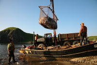 В промышленном рыболовстве исключат избыточные нормы регулирования