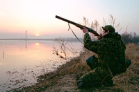 Охотники смогут участвовать в регулировании численности животных в угодьях