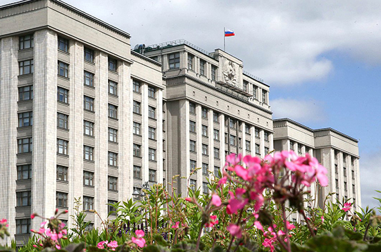 В России уточнят правила работы иностранных инвесторов в хозяйственных обществах