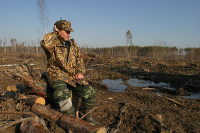 В Госдуму внесут законопроект о реформе лесной отрасли