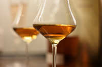 В закон о виноделии включат коньяк, бренди и виноградный спирт